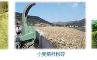 農民科學發展新思路，秸稈綜合利用成為賺錢好門路之秸稈顆粒機