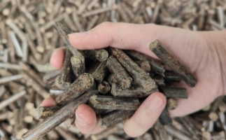 木屑燃料顆粒熱值多少大卡，完全取決于燃料的原料